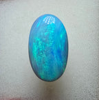 A580 - Large blue ocean babe