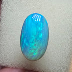 A580 - Large blue ocean babe