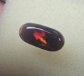 A885 -  Fossilised wood opal