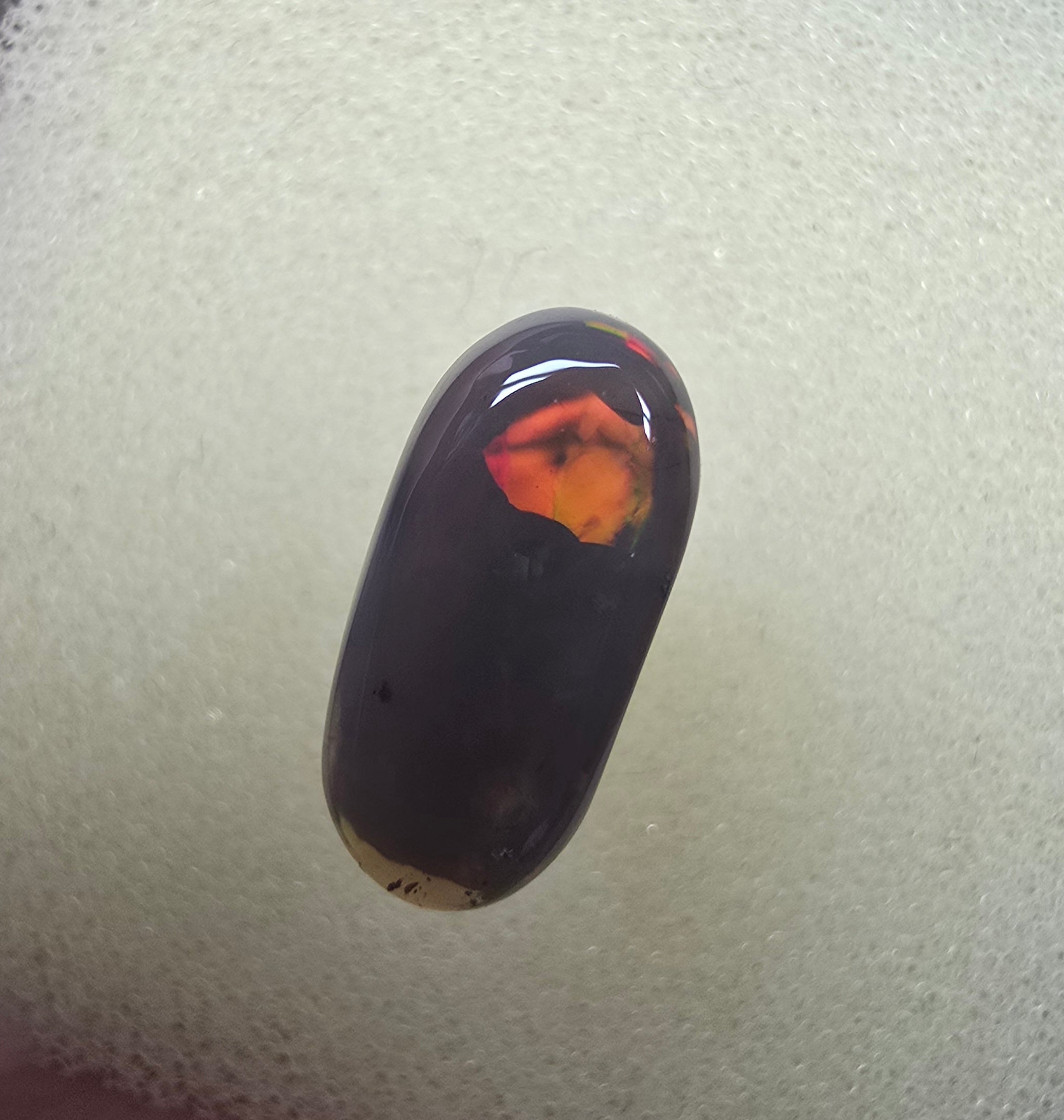 A885 -  Fossilised wood opal