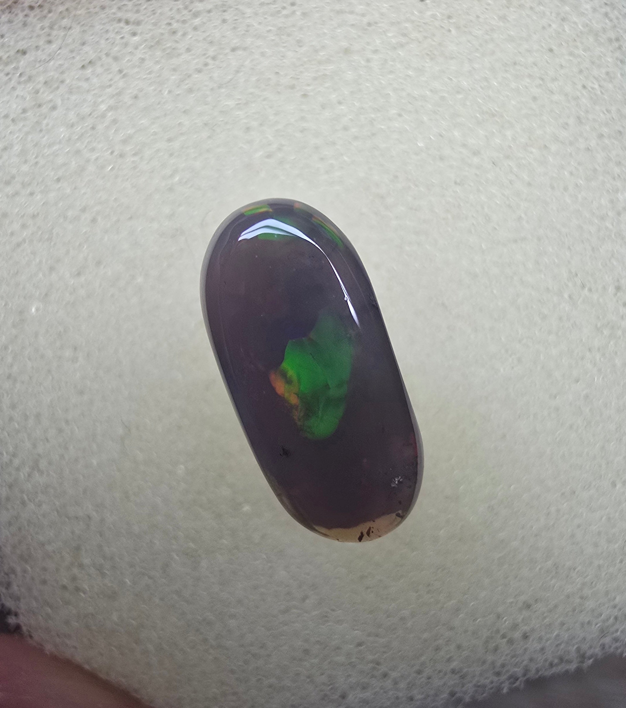 A885 -  Fossilised wood opal