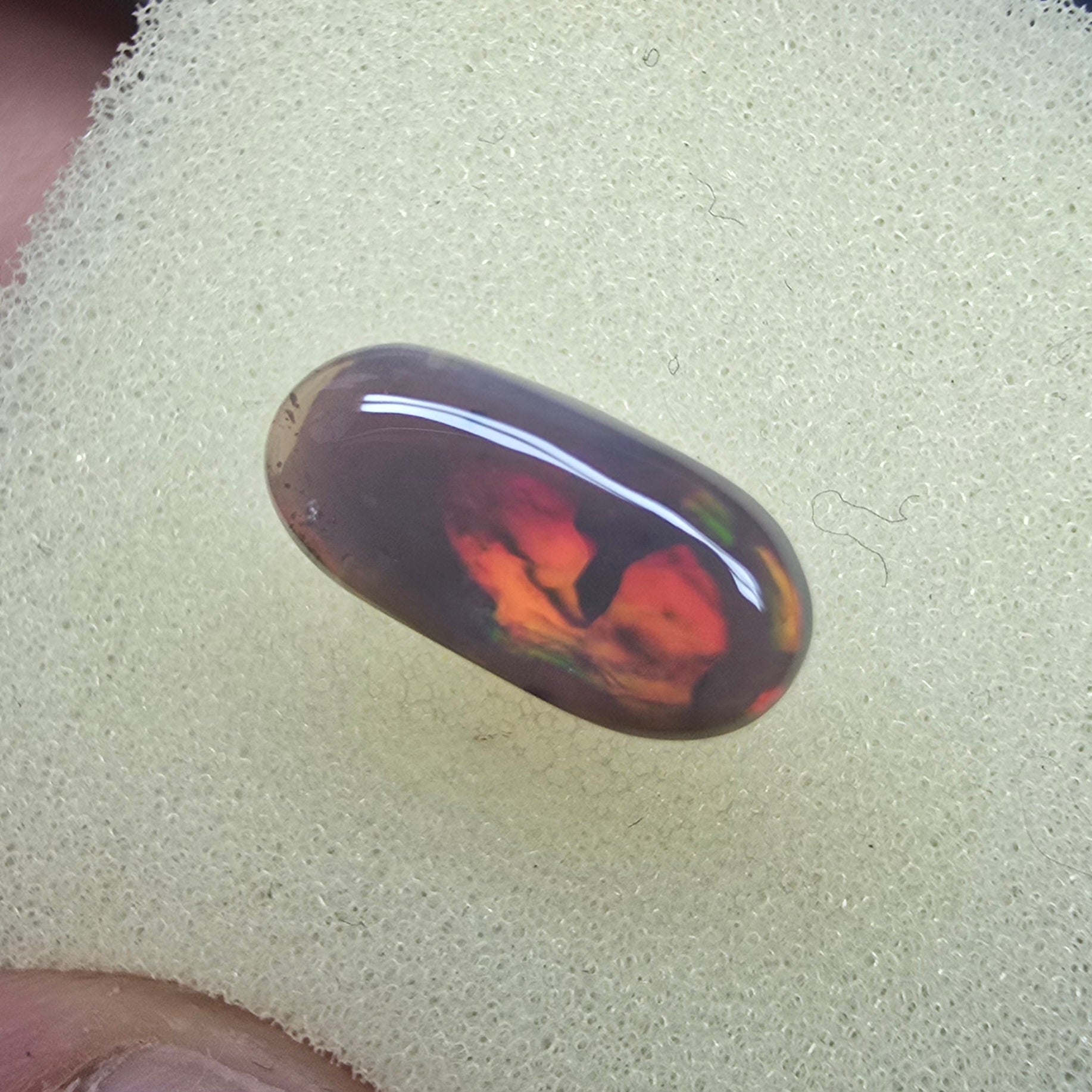 A885 -  Fossilised wood opal