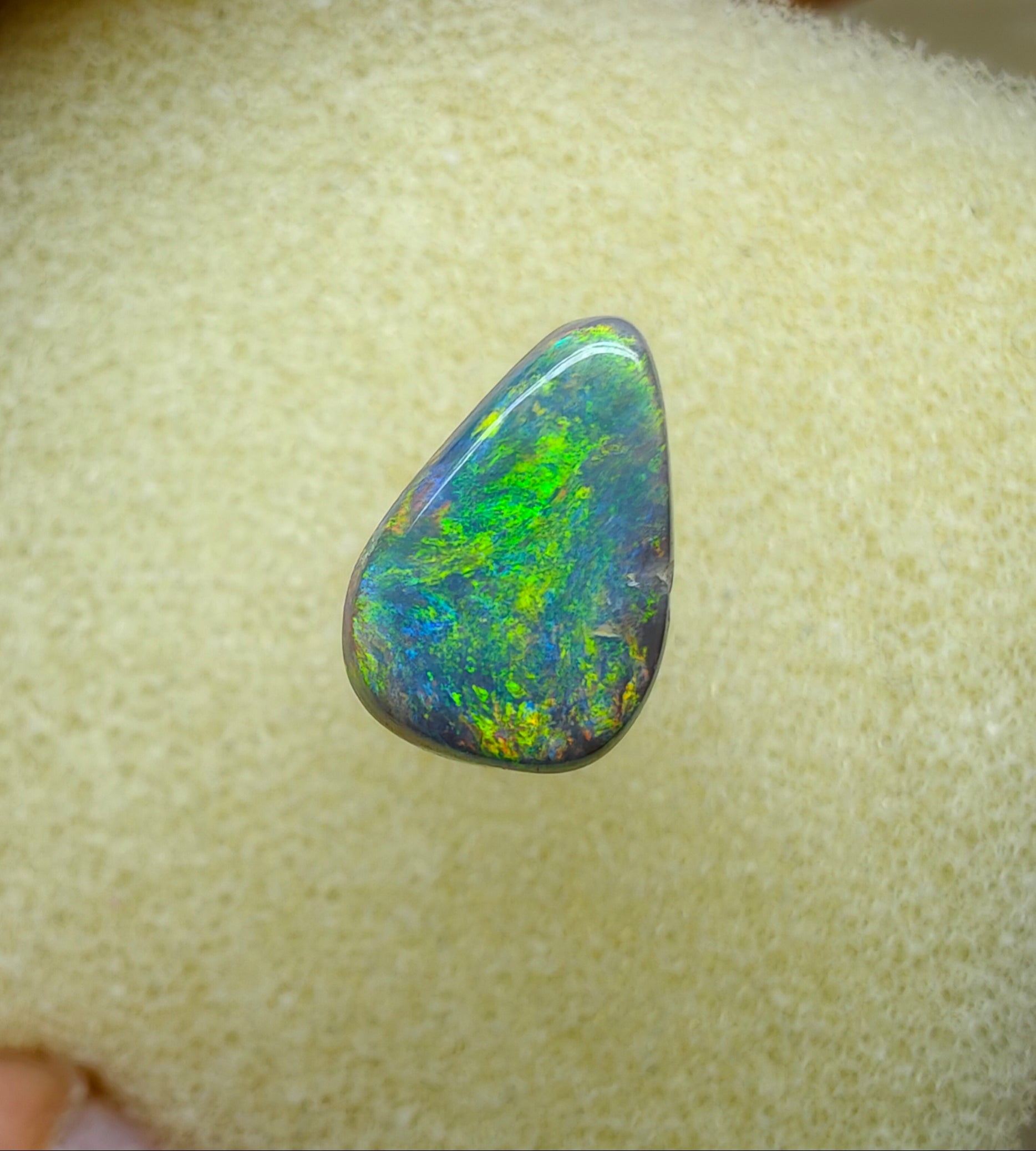 A947 - Stunning flashy drop cut