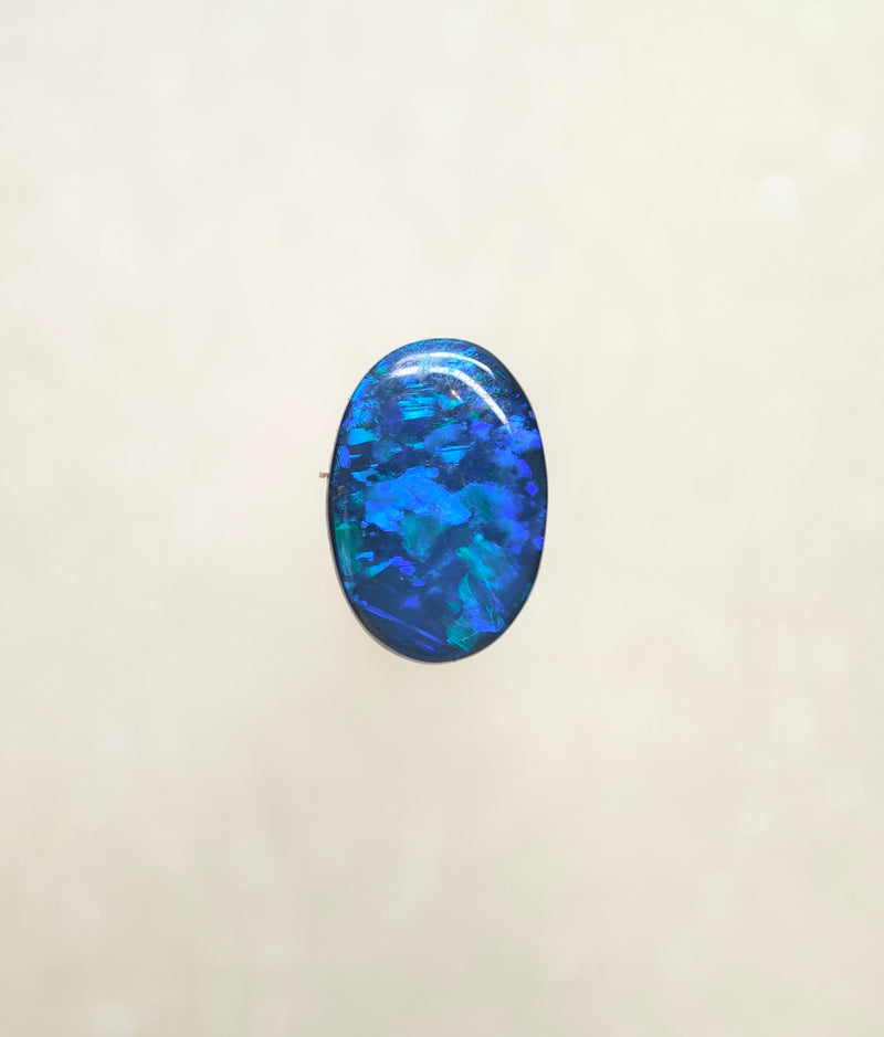 A1021 - Bold black beauty