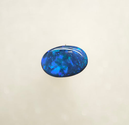 A1021 - Bold black beauty