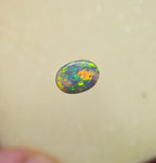 A1058 - Bright flash of beauty