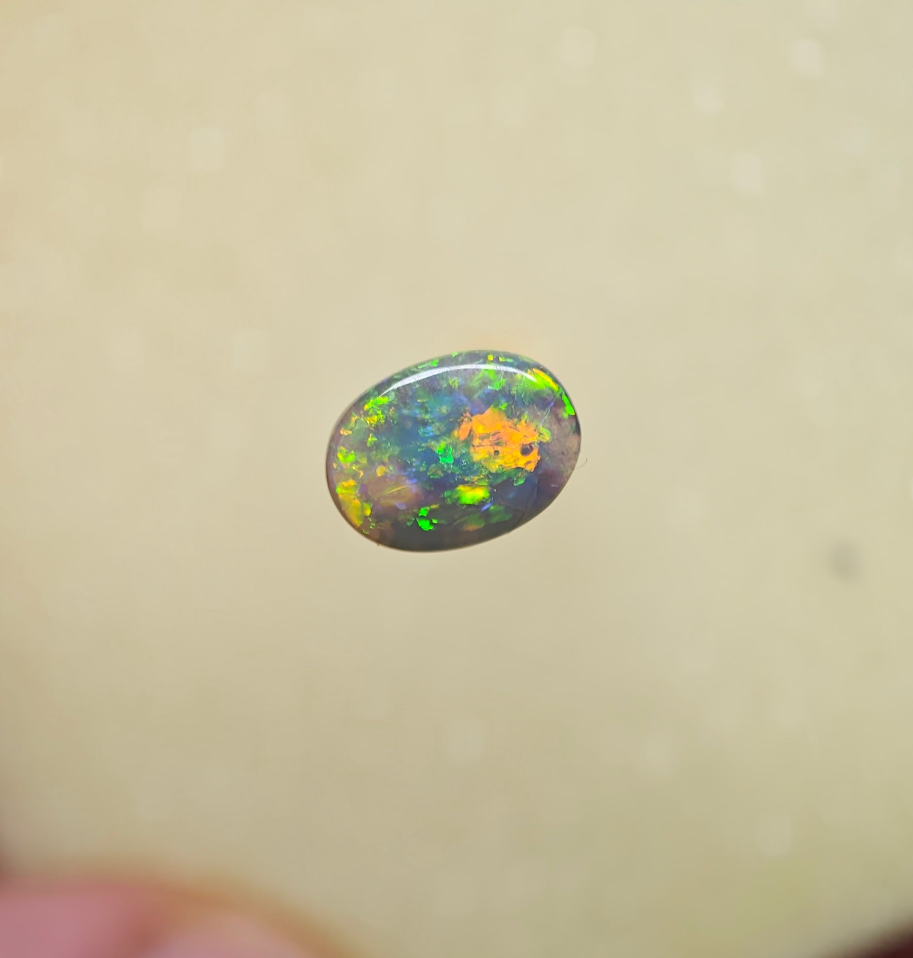 A1058 - Bright flash of beauty