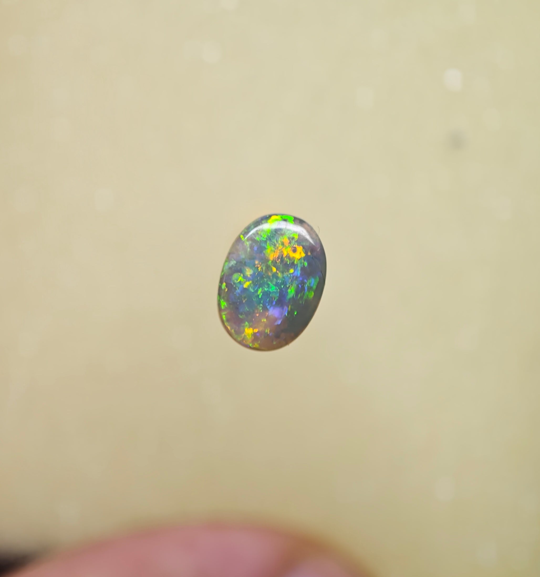 A1058 - Bright flash of beauty