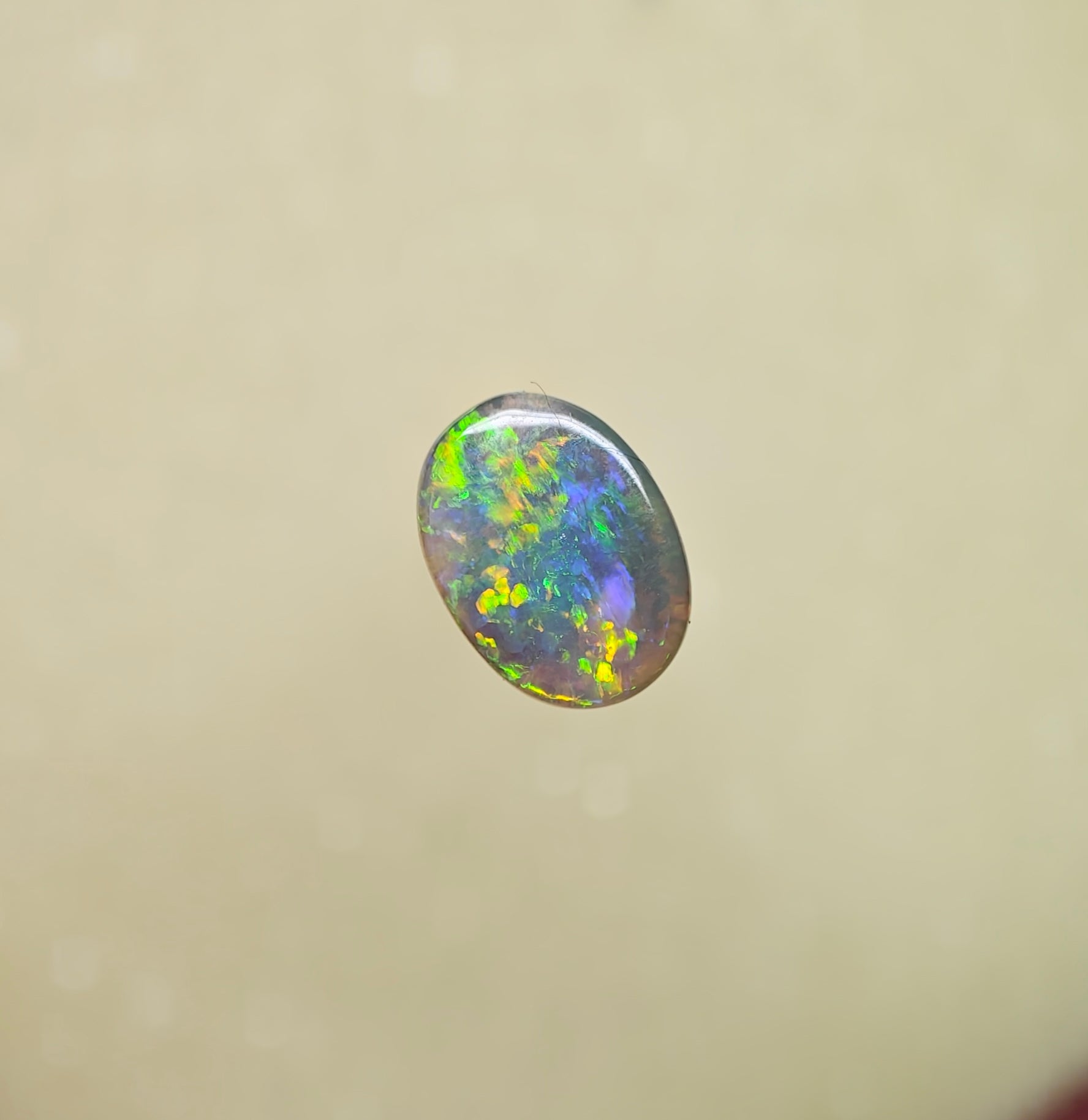 A1058 - Bright flash of beauty