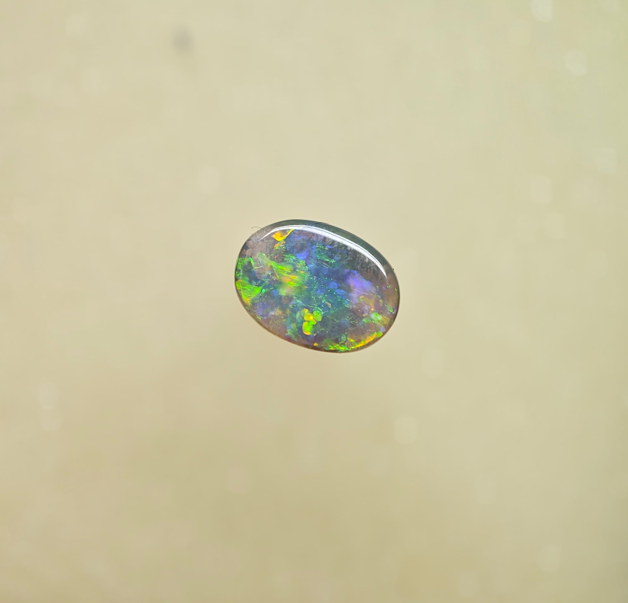 A1058 - Bright flash of beauty