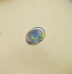 A1058 - Bright flash of beauty
