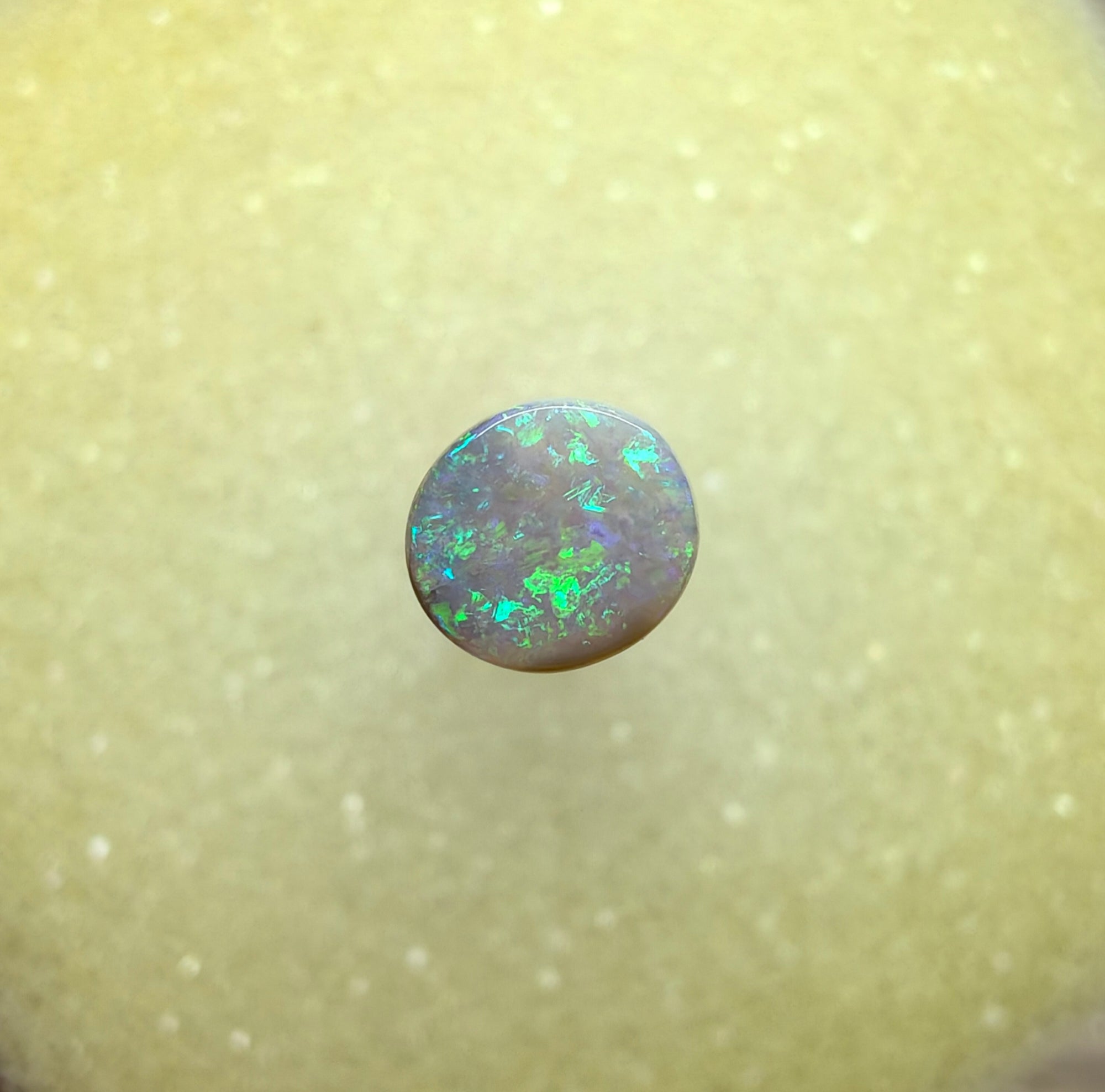 A1066 - Bright green flashy beauty