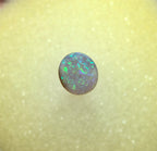 A1066 - Bright green flashy beauty
