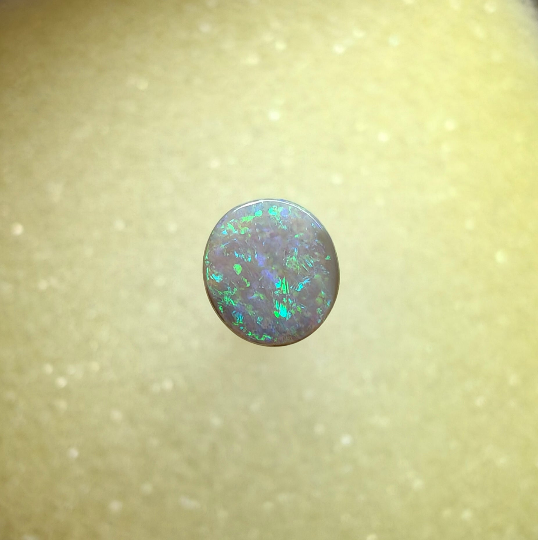 A1066 - Bright green flashy beauty