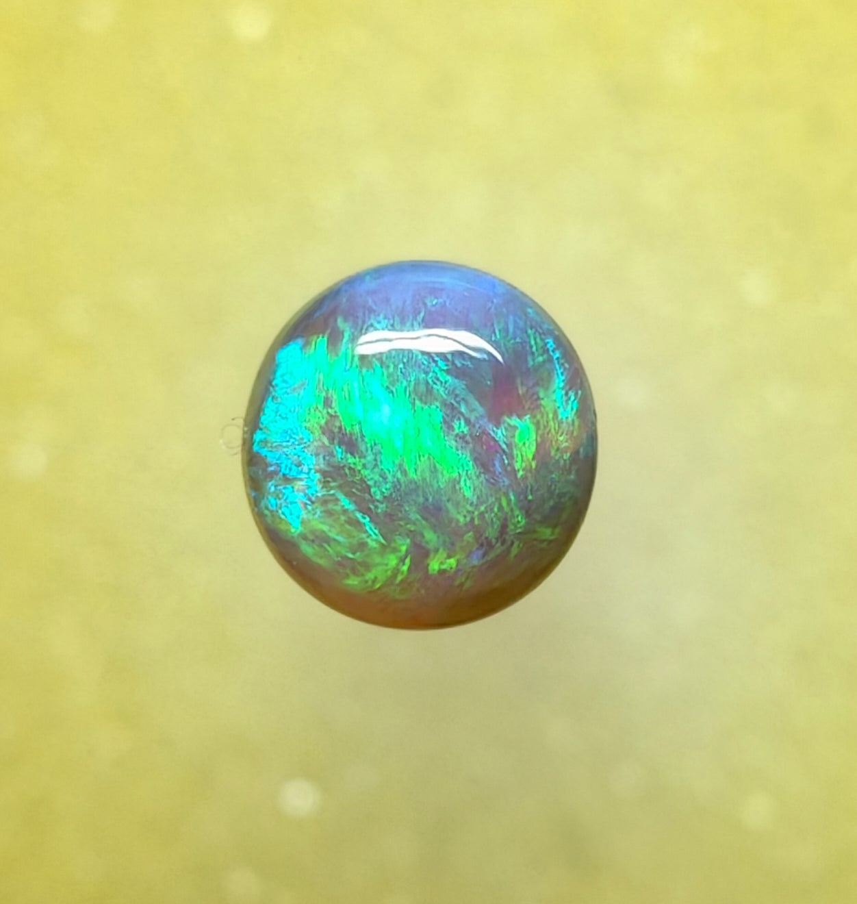 A1078 - Bright and bold round cut