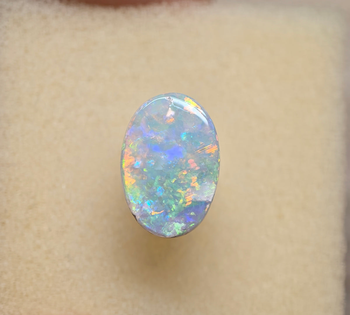 A1087 - Stunning broad face crystal opal beauty
