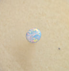 A1090 - Bright little button