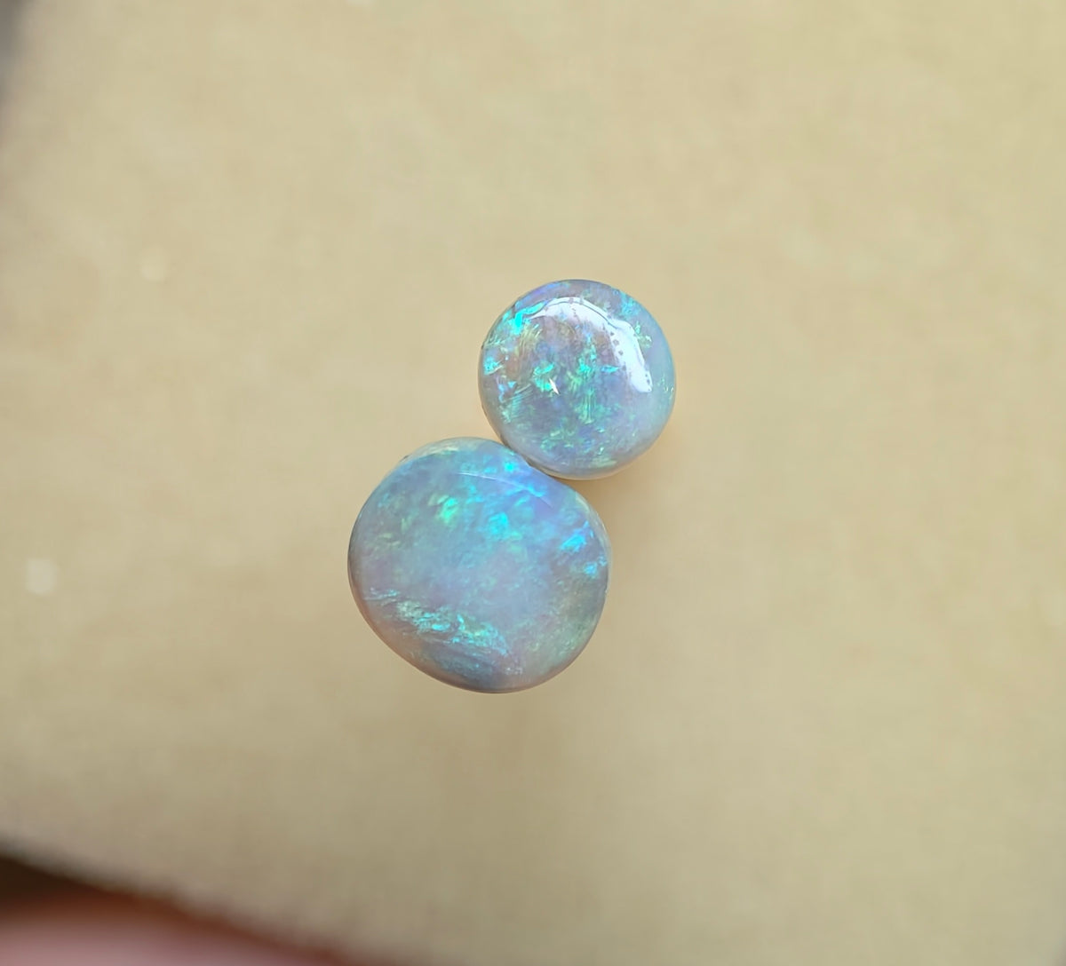 A1099 - Cute blue green pair
