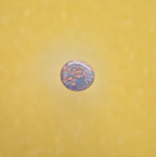 A1112 - Stunning round cut sparkle