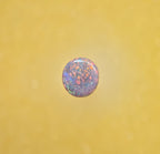 A1112 - Stunning round cut sparkle