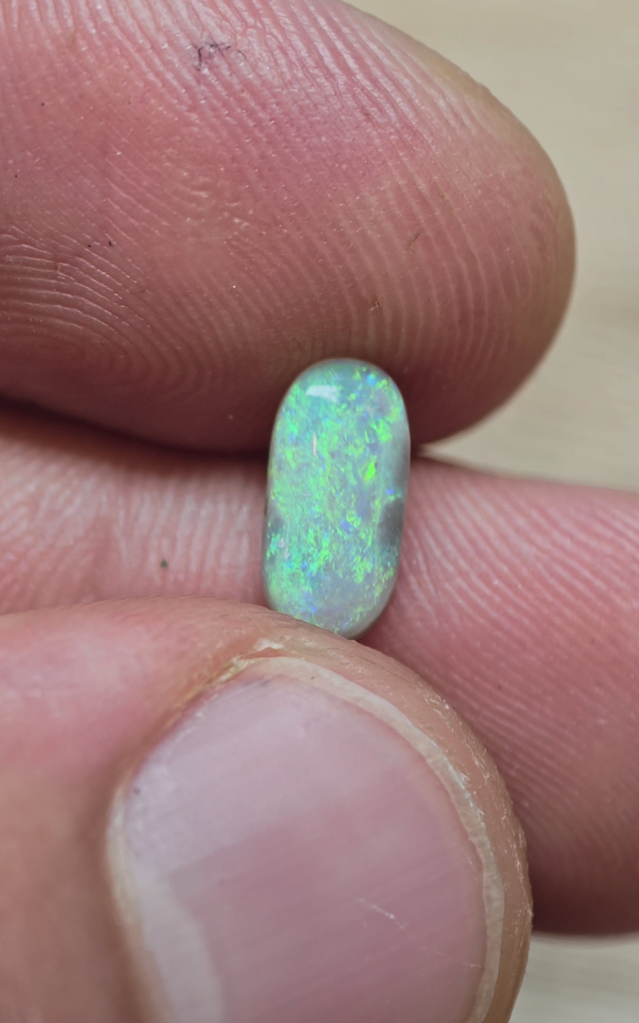 A1073 - Long cut blue flashy beauty