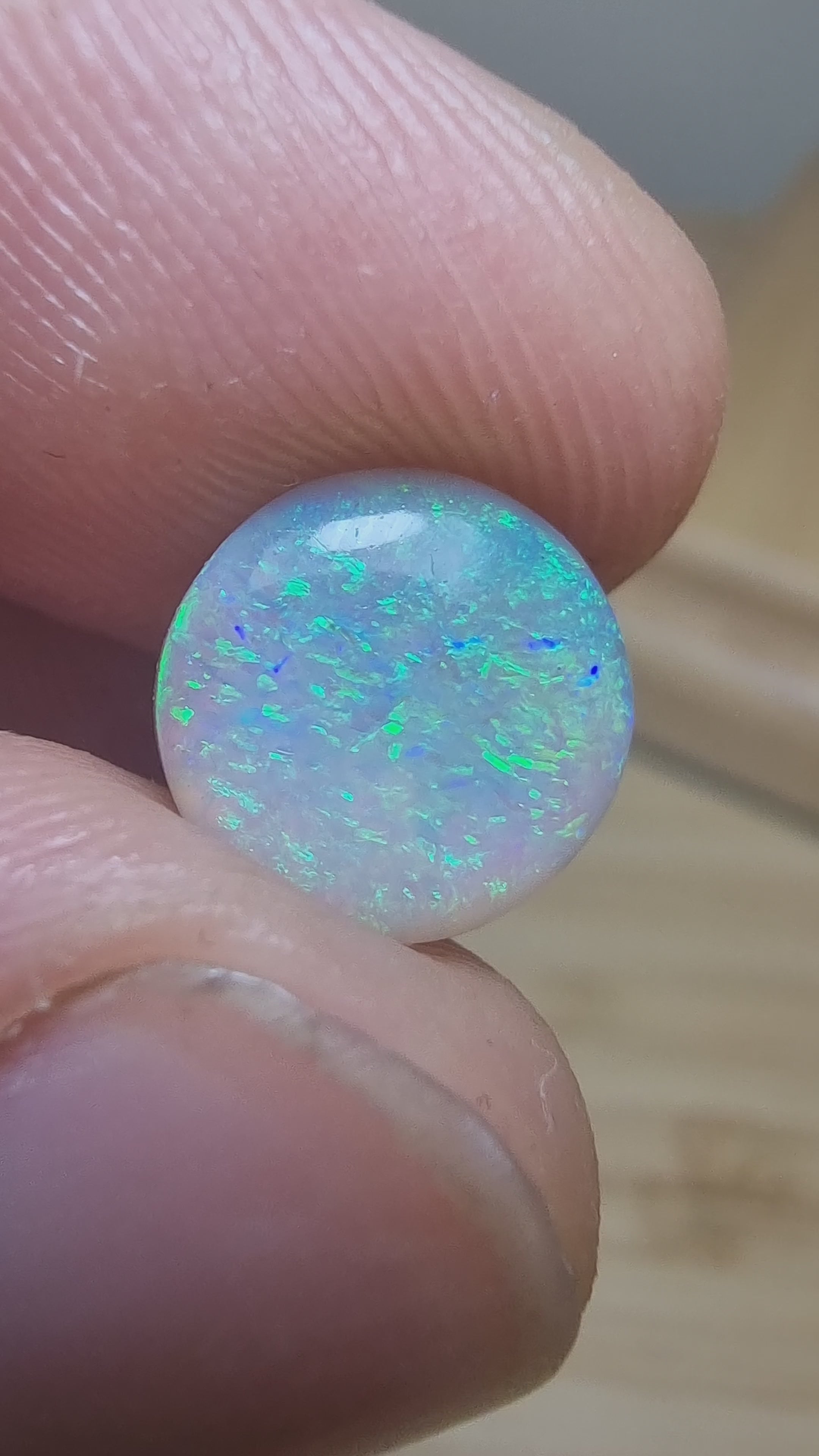 A222 - Stunning circle cut dark opal