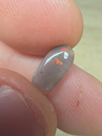 A885 -  Fossilised wood opal