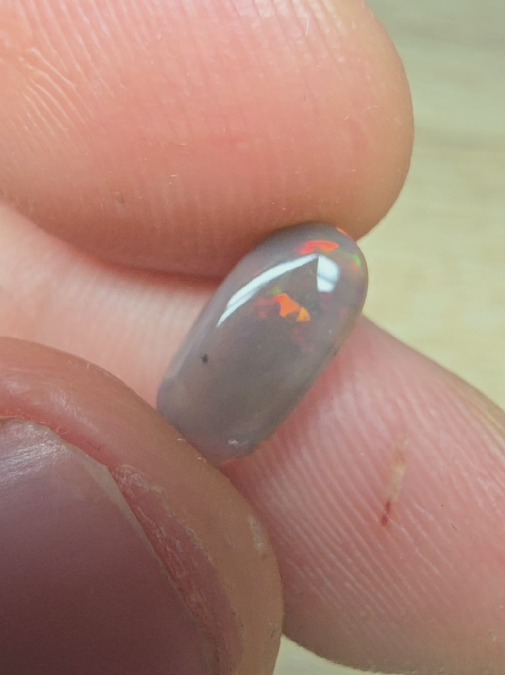 A885 -  Fossilised wood opal