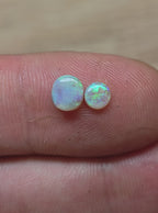 A1099 - Cute blue green pair