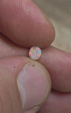 A1090 - Bright little button