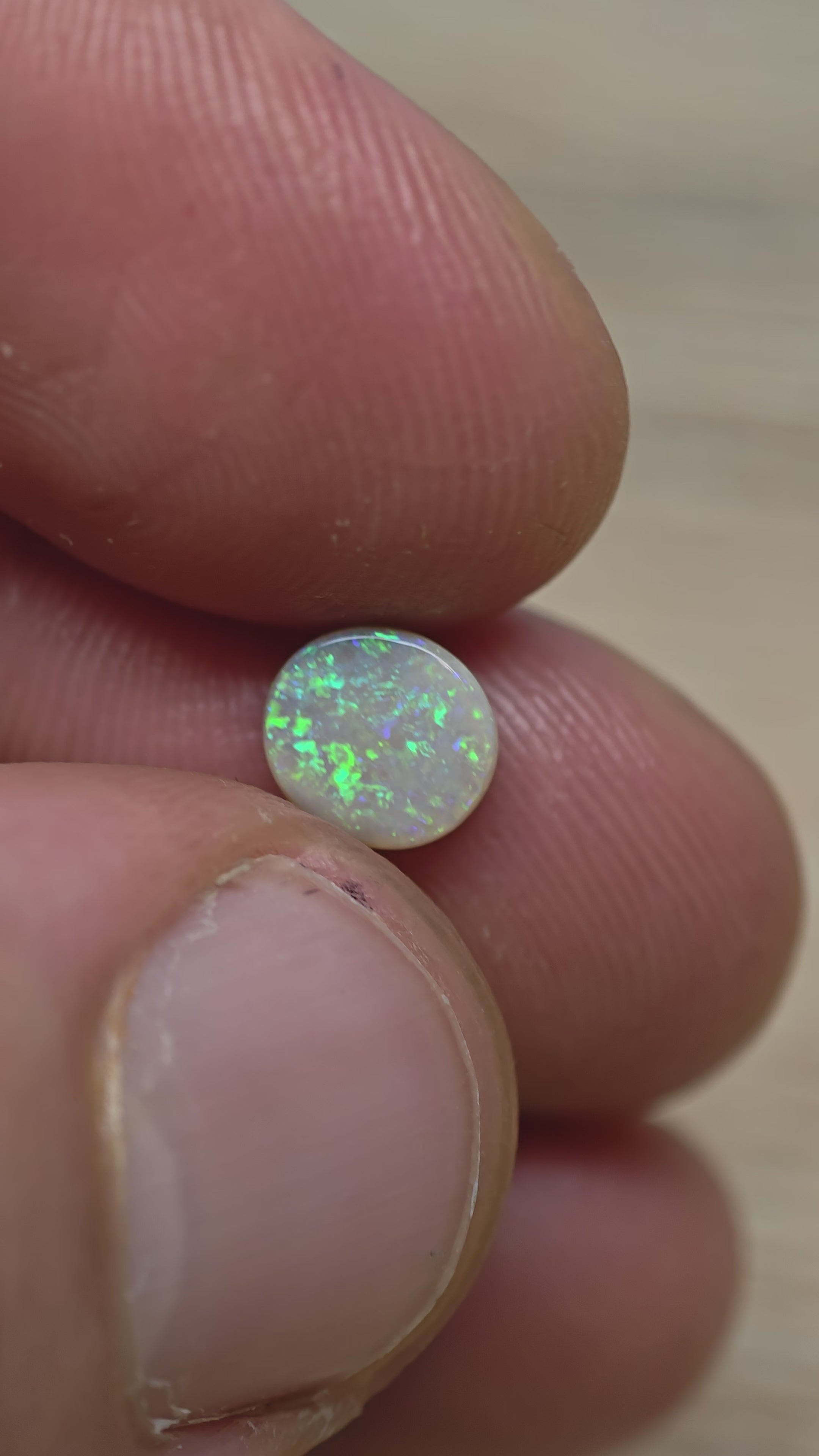 A1066 - Bright green flashy beauty